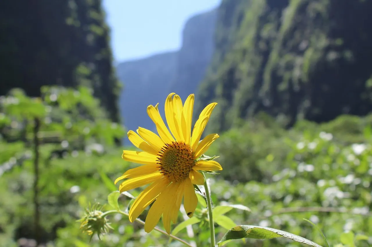 Estalagem Pousada & Camping Nativos Dos Canyons Praia Grande